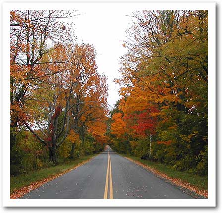 Mid-October Fall Colors