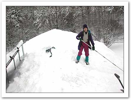 Happy Shovelling Fool