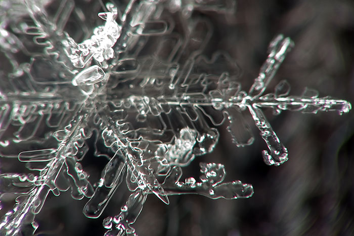 Snowflake closeup 1