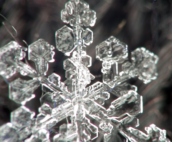 Snowflake closeup 2