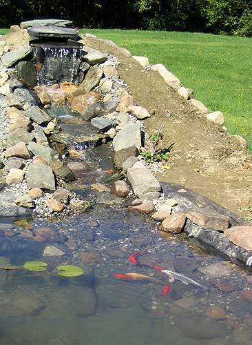 View of waterfall w/fish