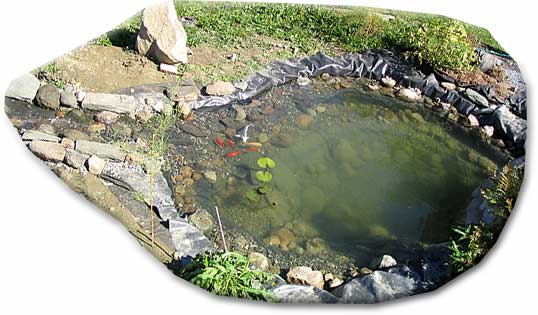 Top view of pond