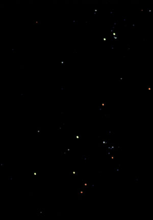 NGC 884 869