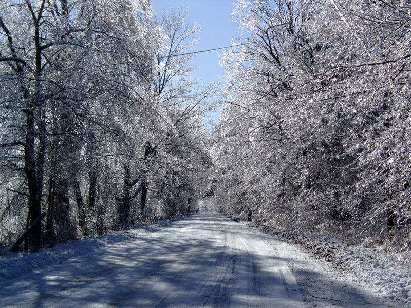 Ice Storm 2008