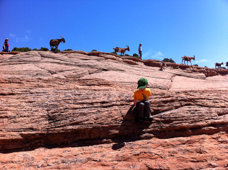 Kid, Goats, rocks, hike