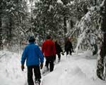 Snowshoe Lunch Break