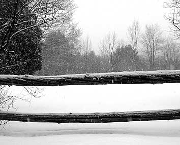 Old Fence