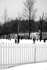 Old graveyard