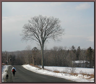 Family Walk