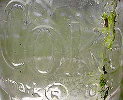 coke relic