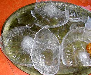 Ice shells from pumpkins