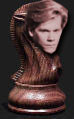 Kevin Bacon, Rooked
