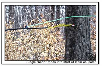 Tree hose feeds main hose