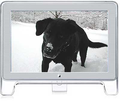 Dogtop monitor