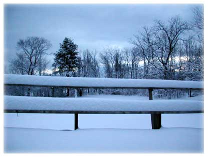 March Morning after Snow