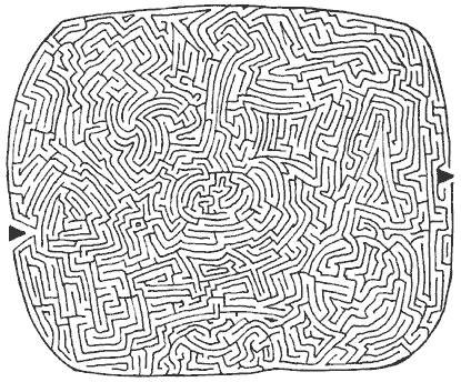 David McCusker Maze