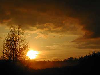 sunrise and fog