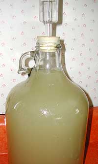 jug of ginger juice