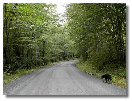 Great Brook Road